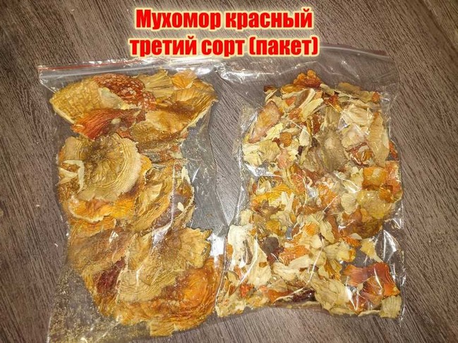 Купить сушеный мухомор в Санкт-Петербурге